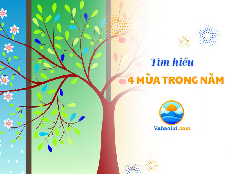 Tại sao có 4 mùa trong năm? Thời gian bắt đầu và kết thúc