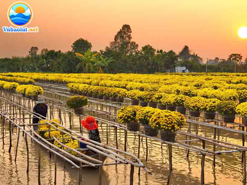 Đặc điểm khí hậu Đồng Tháp mùa khô