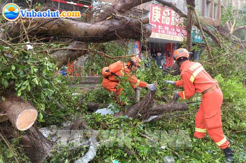 Hậu quả của siêu bão Yaya để lại cho Trung Quốc