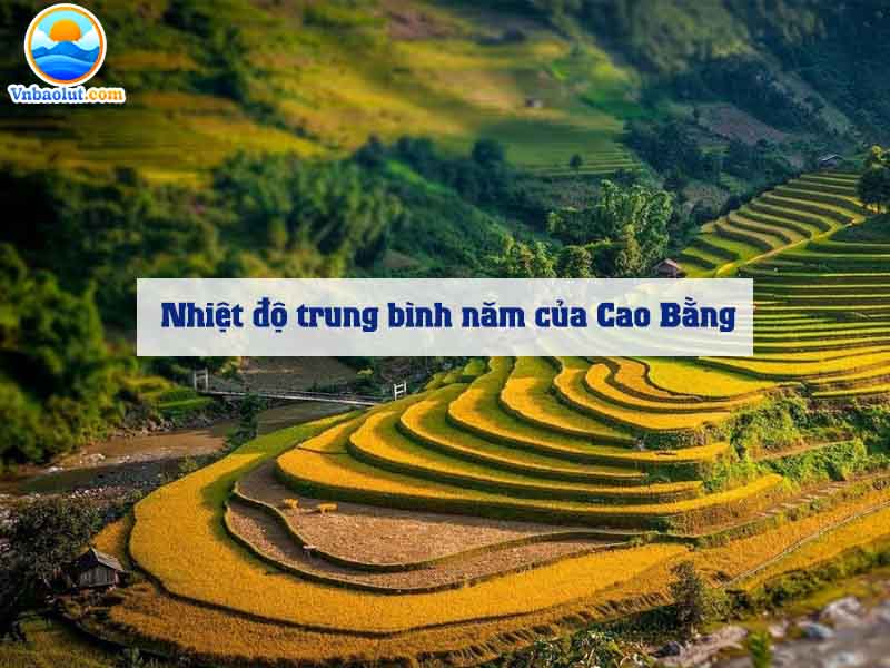 Nhiệt độ trung bình năm của Cao Bằng