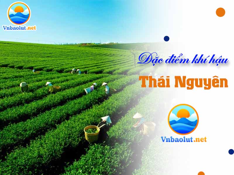 Đặc điểm khí hậu Thái Nguyên và điều kiện tự nhiên nơi đây