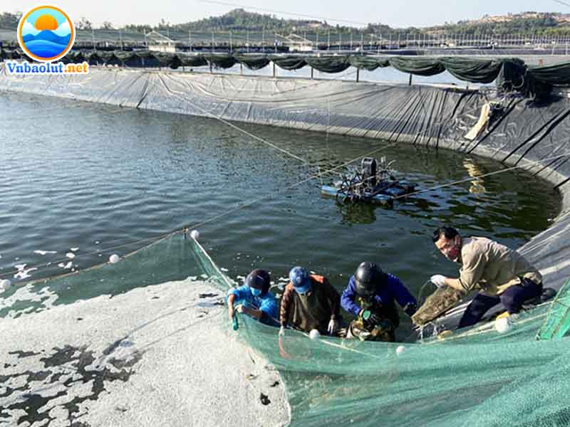 Tài nguyên thủy sản