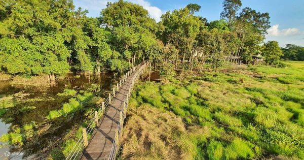 Thời tiết đẹp sẽ hỗ trợ cho chuyến tour trek rừng Nam Cát Tiên được thuận lợi hơn