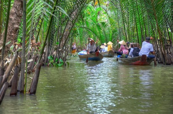 Cồn Phụng