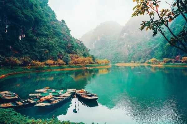 Tuyệt Tình Cốc