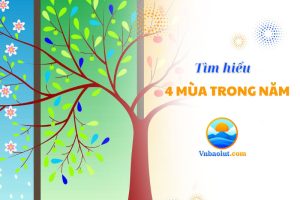 4 mùa trong năm