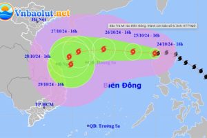 Bão số 6 Trami